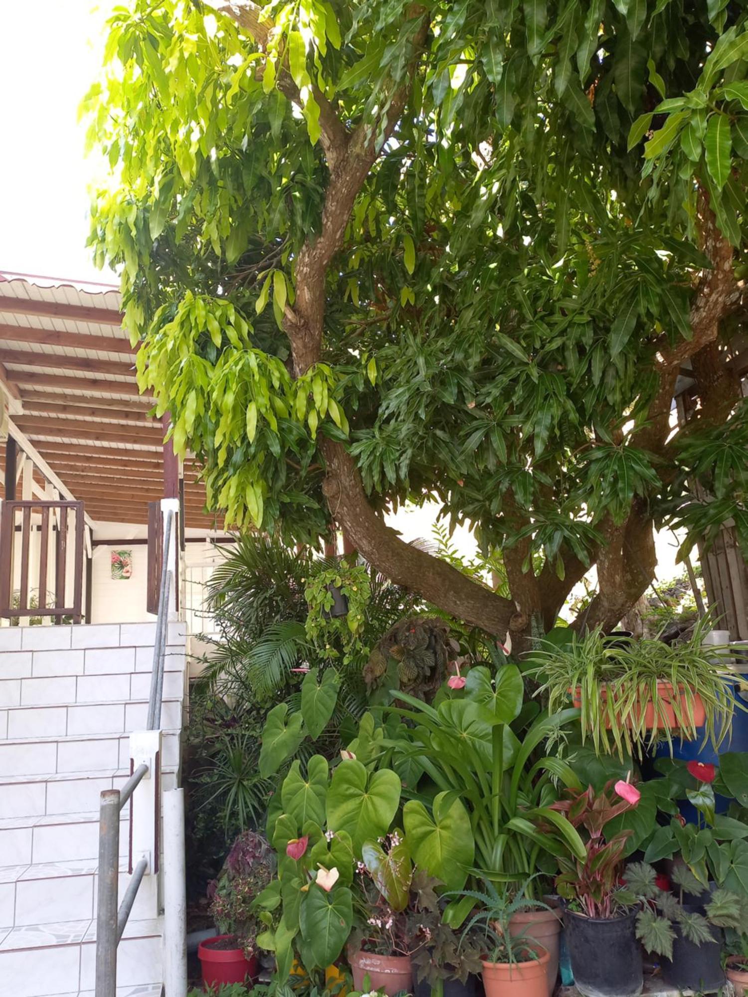 Logement Entier Au Soleil Couchant Десе Екстер'єр фото